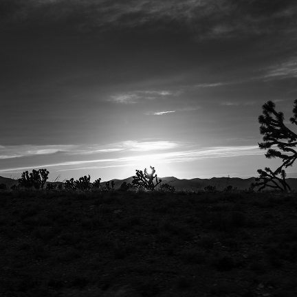 Arizona_Highway_Desert_3_B&W_SMALL