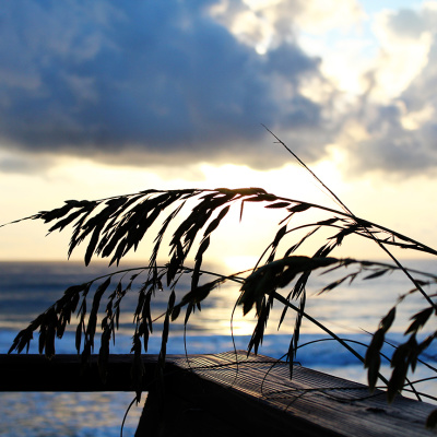 Palm_Coast_Florida_4_SMALL