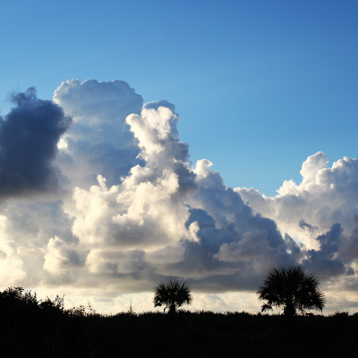 Palm_Coast_Florida_5_SMALL
