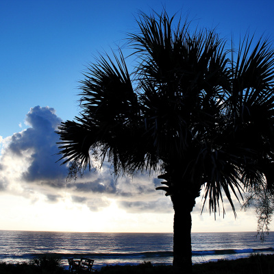 Palm_Coast_Florida_6_SMALL