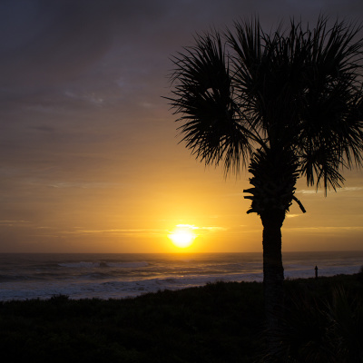 Palm_Coast_7_SMALL