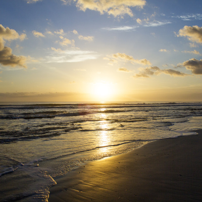 Palm_Coast_8_SMALL