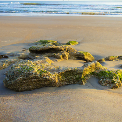 Palm_Coast_Beach_Rocks_SMALL