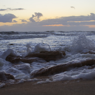 Palm_Coast_10_SMALL