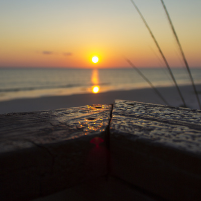 Palm_Coast_Morning_Dew_2_SMALL